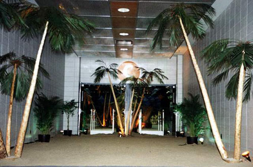 Décor soirée à thème tropicale